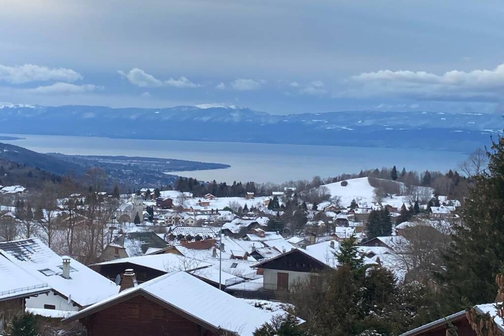 Duplex En Station Vue Sur Lac Leman Thollon-les-Memises Exterior photo