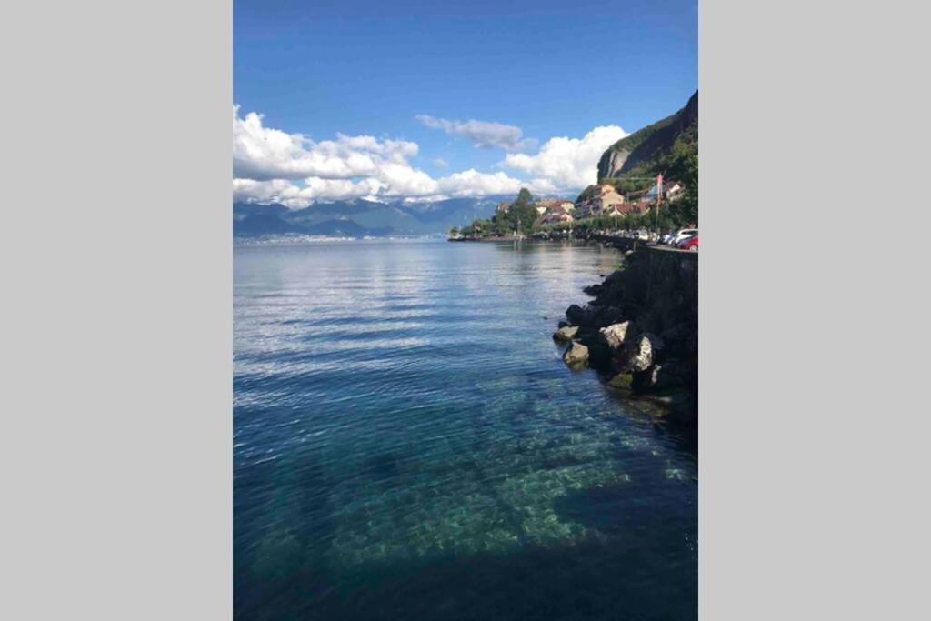 Duplex En Station Vue Sur Lac Leman Thollon-les-Memises Exterior photo