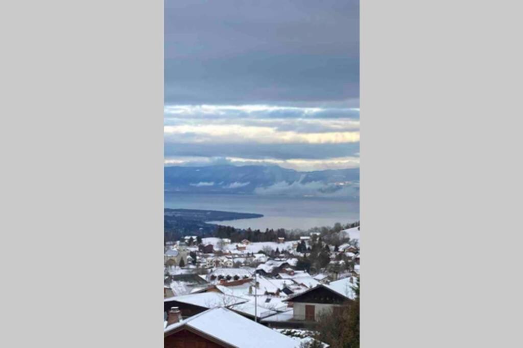 Duplex En Station Vue Sur Lac Leman Thollon-les-Memises Exterior photo