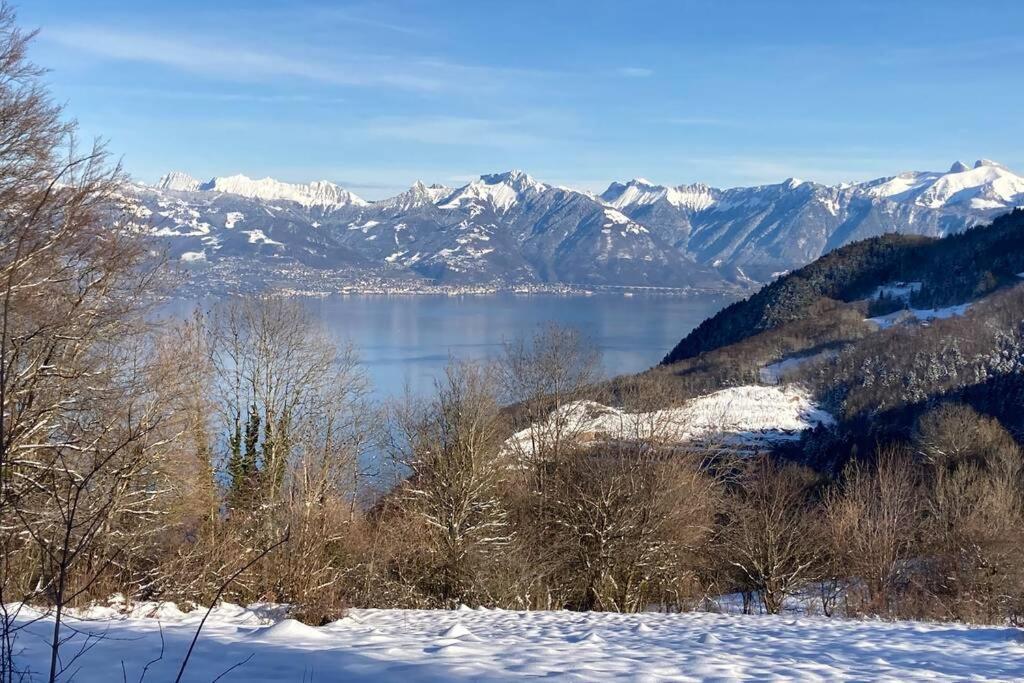 Duplex En Station Vue Sur Lac Leman Thollon-les-Memises Exterior photo