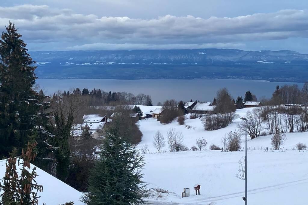 Duplex En Station Vue Sur Lac Leman Thollon-les-Memises Exterior photo