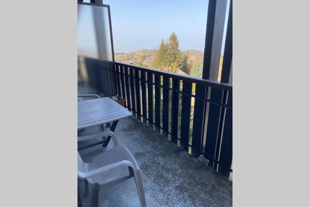 Duplex En Station Vue Sur Lac Leman Thollon-les-Memises Exterior photo